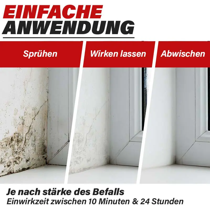 Schimmel am Fenster entfernen Schimmel am Fenster entfernen