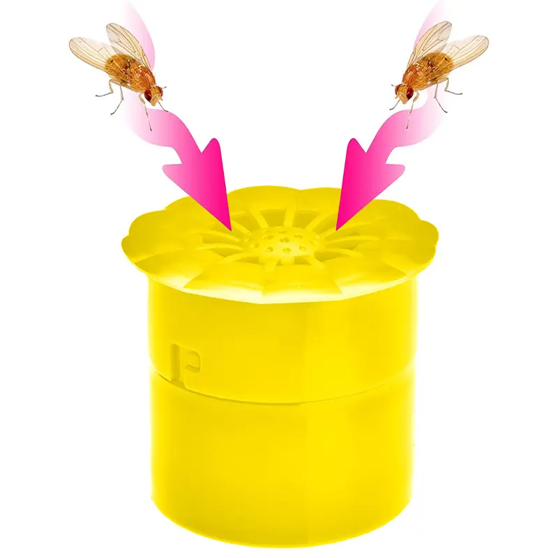 Fruchtfliegenfalle gelb, effektive Obstfliegenfalle, giftfrei, 4er-Set für Küche und Haushalt, umweltfreundliche Schädlingsbekämpfung.