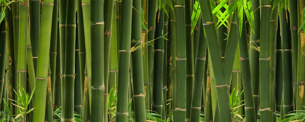 bambus-kristall-produkte