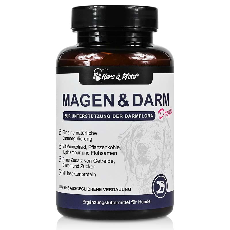 magen-darm-hunde-ergaenzungsfutter