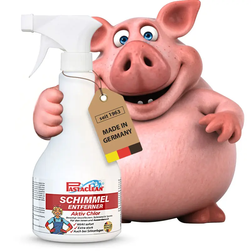 Schimmelentferner mit Aktiv-Chlor gegen Schimmel für Wand, Bad und Silikonfugen, 500 ml