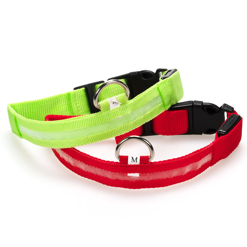 leuchthalsband-hunde-2er-set leuchthalsband-hunde-2er-set