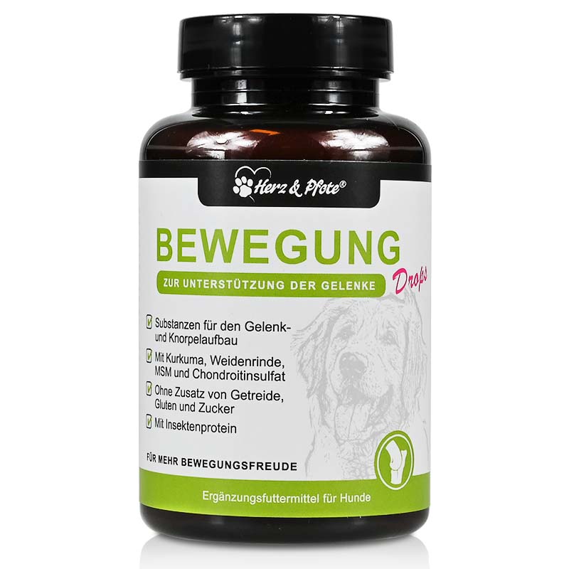 bewegung-gelenke-hunde